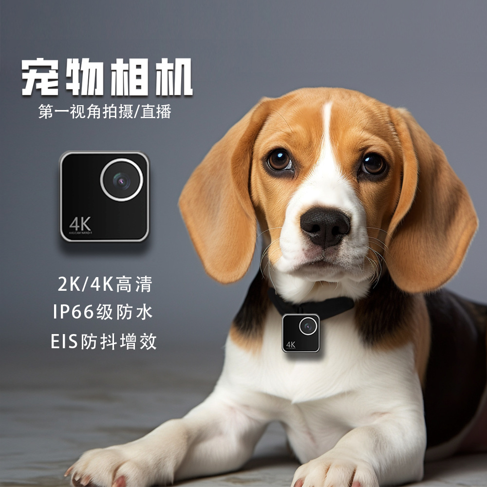 Kamera dla zwierząt, kotów, ps – Cameras recenzja i cena